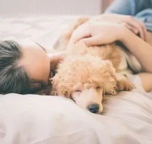 Gostar de dormir com o dono pode ser ainda mais comum em algumas raças de cachorro