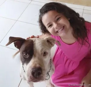 A pequena Sophia aprendeu desde cedo a viver em harmonia com pets