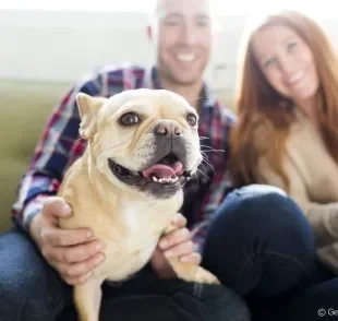 Nomes para cachorro Pug: veja algumas sugestões de como chamar o seu novo amigo