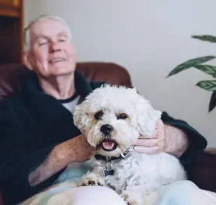 Os cães são ótimas companhias para aproveitar a melhor idade