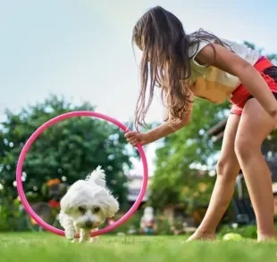 Do reforço positivo aos treinamentos para cão-guia, descubra os tipos de adestramento mais comuns