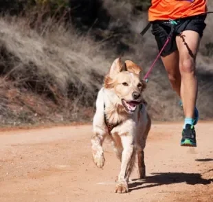 Correr com cachorro é uma atividade que estreita laços e melhora a saúde