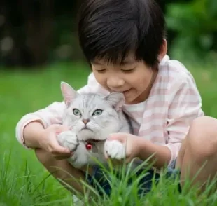 Gatos e crianças: a relação dos felinos com crianças pode ser bem amigável