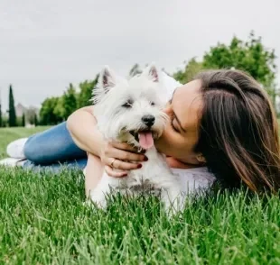 Adotar cachorro pode trazer benefícios para sua saúde! Confira alguns na matéria