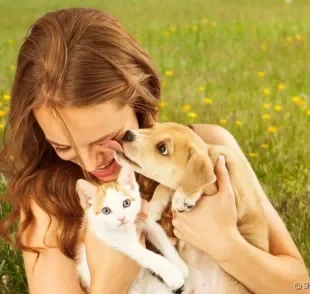 A mãe de pet faz de tudo pelos seus filhos de quatro patas. Saiba mais sobre a adoção animal