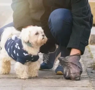 Assim como os desejetos humanos, o cocô do cachorro é considerado lixo sanitário