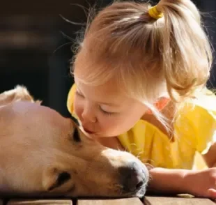 Explosão de fofura: criança e cachorro juntos pode ser o início de uma grande amizade