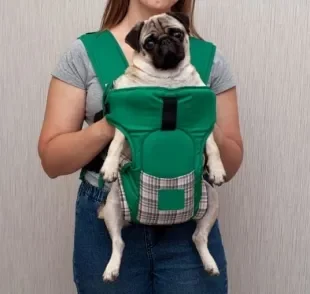 Mochila para transporte de cachorro: modelo canguru é uma boa opção