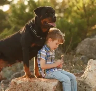 Rottweiler: temperamento e porte grande não impede que o cachorro tenha uma ótima relação com crianças e outros animais