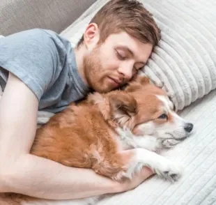 O cachorro dormindo na cama com o dono tem pontos positivos e negativos