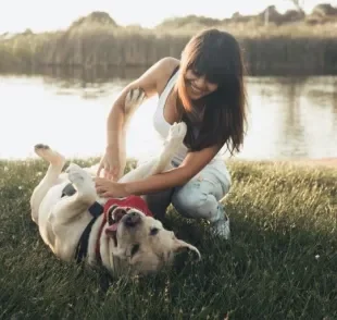  Cachorros sentem cócegas e podem gostar muito 