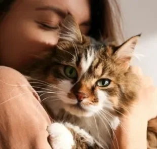 Quem tem alergia a gato definitivamente não precisa se desfazer animal, basta seguir alguns cuidados no dia a dia