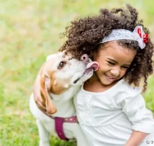  Cachorro e crianças mais velhas: Raças de grande e médio porte, como o Beagle e Labrador, são as mais indicadas 