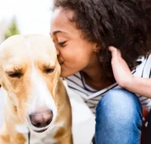 A terapia com cachorros e gatos é muito benéfica para diferentes pacientes, inclusive crianças