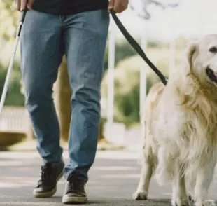 O cão guia ajuda a pessoa com deficiência visual a se locomover e ter mais independência no dia a dia