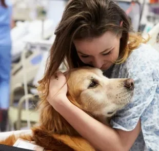 A terapia assistida por animais é comumente utilizada em situações de hospitalização