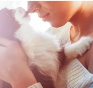  Quem já adotou cachorro ou gato sabe que os sentimentos que vão sendo construídos dia após dia, na convivência com o pet, são realmente fortes. 