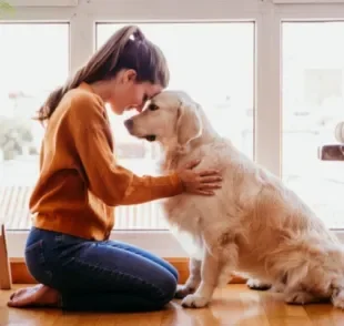 Adotar cachorro de porte grande também é um ato de amor. Dê uma chance para eles!