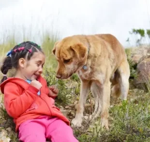 A cinofobia é o medo de cães de forma desproporcional e irracional, geralmente derivado de algum trauma.