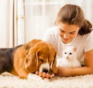 A boa relação entre cachorro e dono e gato e dono tem muito a ver com a personalidade dos dois