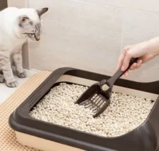  A caixa de areia para gatos deve ser limpa com o auxílio da pá coletora de dejetos
