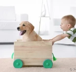 O Labrador é um cachorro que se dá muito bem com crianças