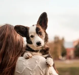  Escolher nomes de cachorro não é tão difícil quanto parece 