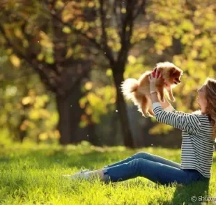 Cachorros pequenos são sempre ótimas companhias