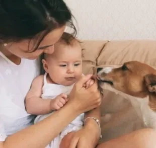 O cachorro com ciúmes de uma criança ou bebê recém-chegado precisa se acostumar com o novo membro da família