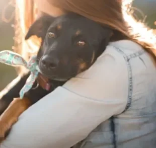 Adotar cachorro pode ser trabalhoso, mas todo cuidado vale a pena.