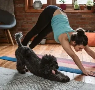 Yoga para cachorro é uma prática que vem fazendo cada vez mais sucesso