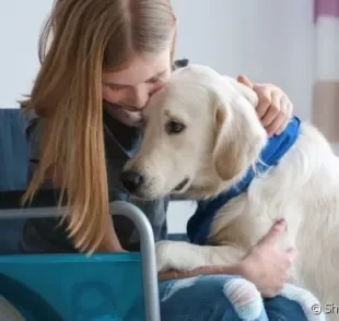 Pessoas com deficiência de qualquer tipo podem ter muitos benefícios com a companhia de um Labrador.
