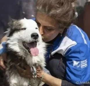 O resgate de um cachorro que passou 23 dias dias nos escombros comoveu a equipe de bombeiros