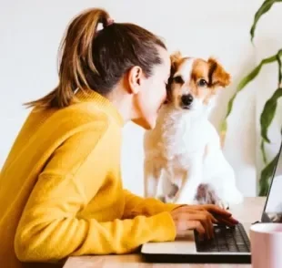  Ter um cachorro ajuda na ansiedade e pode até mesmo impactar no seu sucesso profissional 