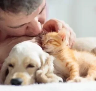 Pais que falam "eu não quero cachorro dentro de casa" sempre acabam abrindo o coração