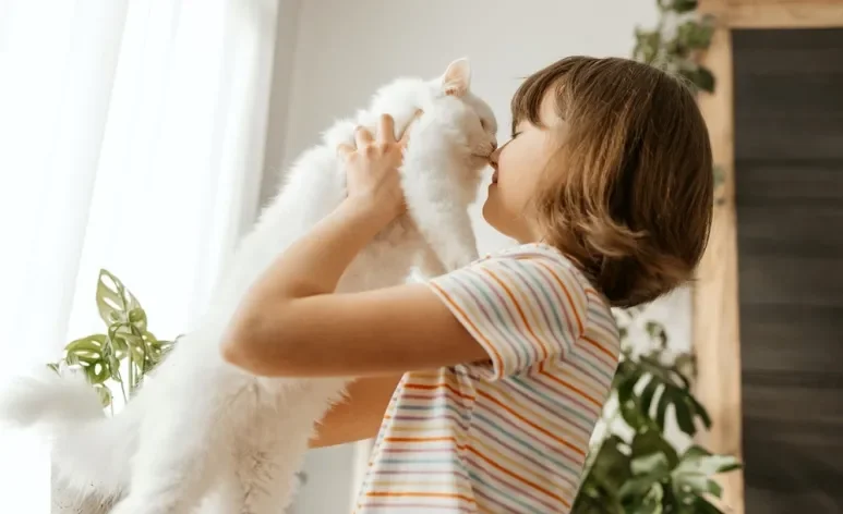 A alergia a gato é desencadeada por uma substância produzida pelo organismo felino