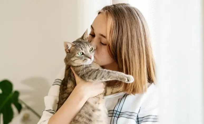 O Dia de Abraçar seu Gato é a desculpa perfeita para encher seu pet de carinhos — mas só se ele deixar