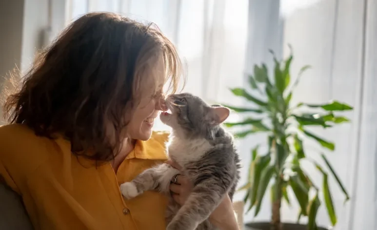 O comportamento do gato é muito curioso e pode ter explicações surpreendentes