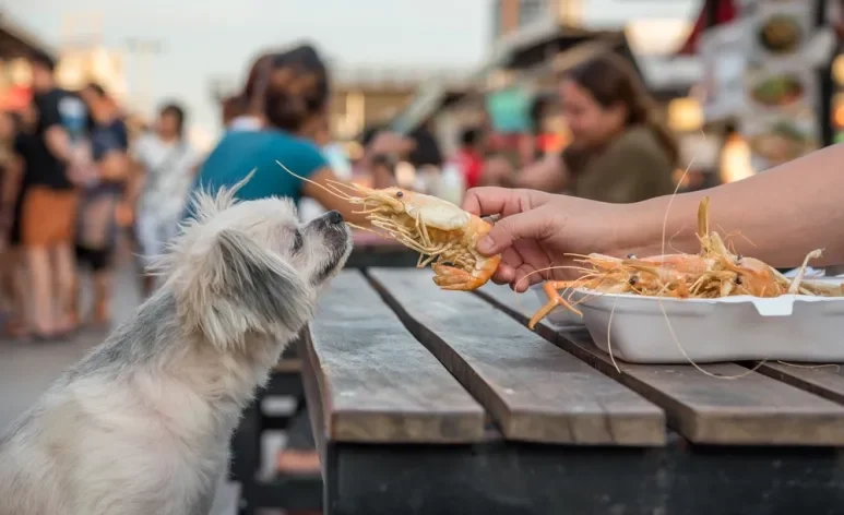 Pode dar camarão para cachorro, mas ele não deve fazer parte da dieta regular do cão