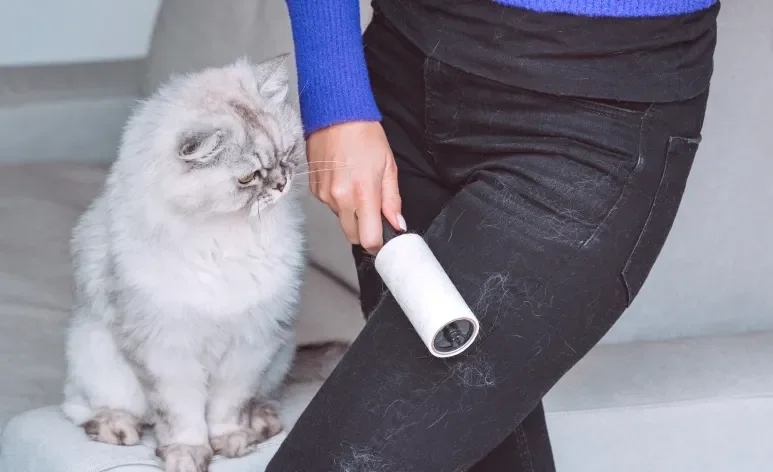 O rolo adesivo é uma das formas mais conhecidas de como tirar pelo de gato da roupa