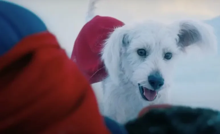 Representação do cachorro Krypto foi baseada no pet do diretor James Gunn