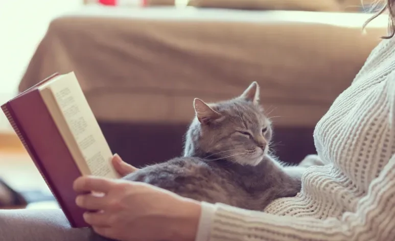 Autores clássicos retratam a essência dos felinos em versos bonitos e cheios de significado