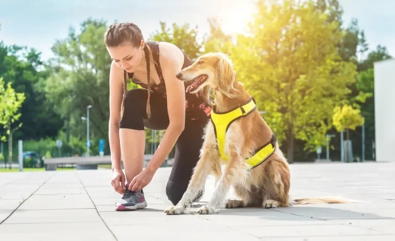 O uso de equipamentos adequados garante conforto e segurança durante a corrida com cachorro