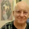 Foto do Noel O'Mahony - Adestrador de cães