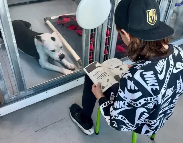 enino lendo um livro para cachorro abandonado