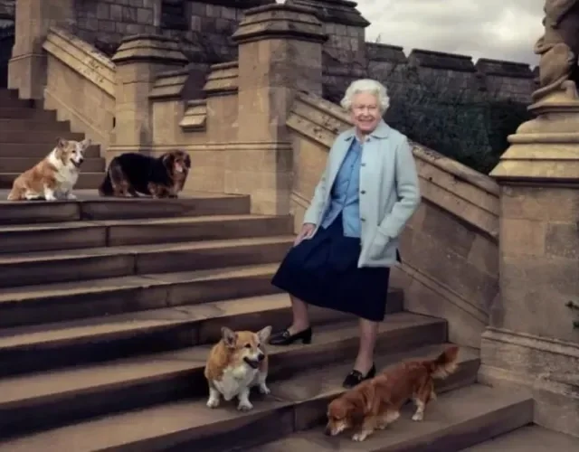 Os cachorros da Rainha Elizabeth eram da raça Corgi (Créditos: Divulgação) rainha elizabeth em escadaria posando com seus cachorros corgis