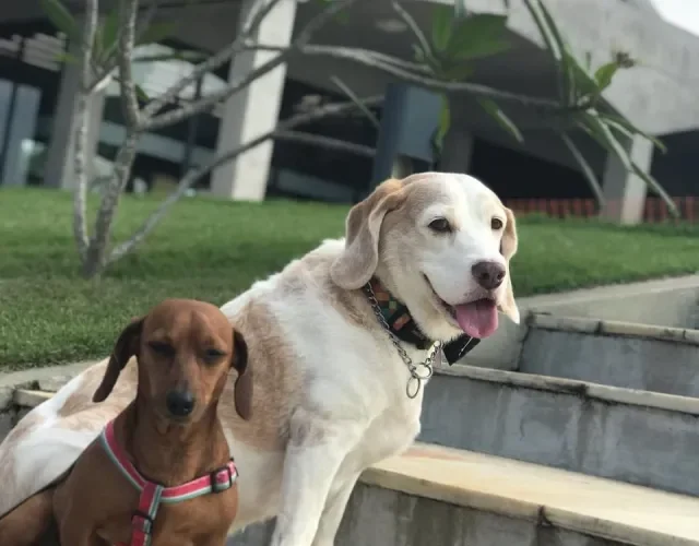 Guga e Amora, sua prima de 5 anos, em um dos programas preferidos: passear no Aterro do Flamengo, no Rio de Janeiro Guga e Amora, sua prima de 5 anos, em um dos programas preferidos: passear no Aterro do Flamengo, no Rio de Janeiro