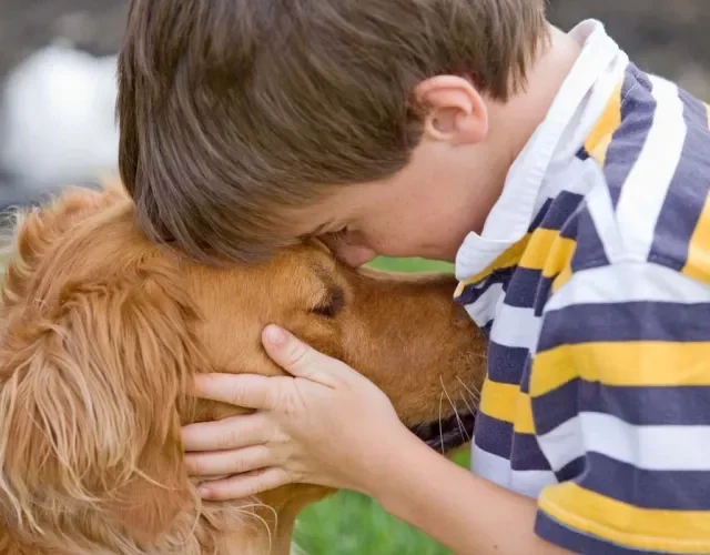 Além da escolha da melhor raça de cachorro para crianças , é importante fazer a adaptação correta