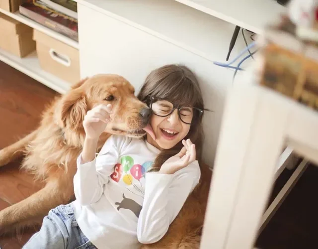 Além de ser um dos melhores cachorros para apartamento, o Golden se dá bem com crianças