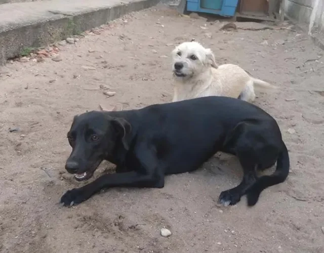 A Rocky e a Shuri não dispensam uma boa dose de diversão! Dá para perceber pela foto, né?
